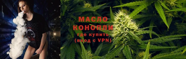 дмт Богданович