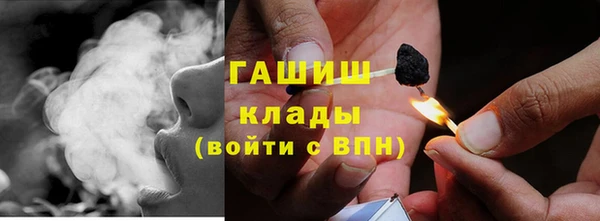 дмт Богданович