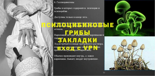 дмт Богданович