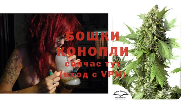 PSILOCYBIN Богородицк