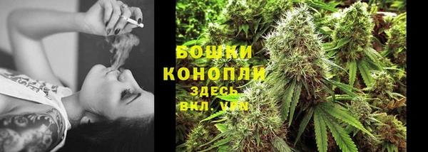 дмт Богданович