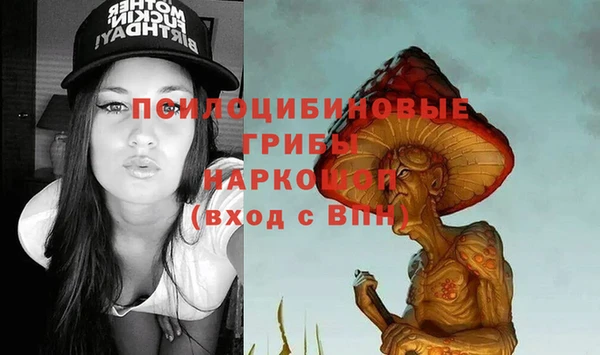 дмт Богданович