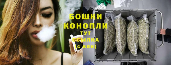 PSILOCYBIN Богородицк