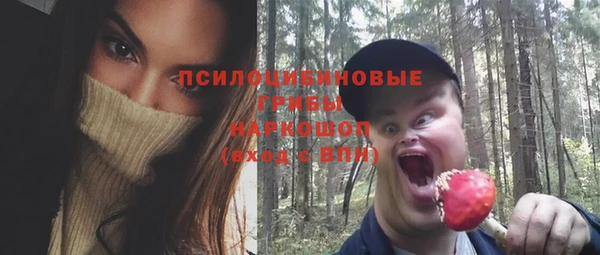 PSILOCYBIN Богородицк