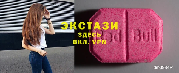 дмт Богданович